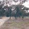 Leahgur State Park: Entrance camp