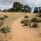 Foreshore Nature Walk, Mungo National Park