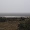 A rare sight: Water in Lake Mungo