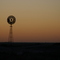 mungo dawn