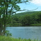 Plank Pond