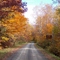 Roseboom State Forest