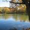 Sparrowhawk lake