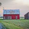 light and barns