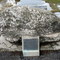 Turkeyfoot Rock