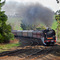 Steamrail R761_1