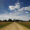 Conricks Road, Lucindale, 12 January 2012