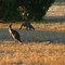 Margaret River