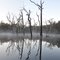 Early morning mist
