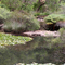 Margaret river - the actual river, not the town nor the wine