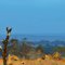You Yangs from Hillview Quarry