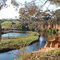 Werribee River