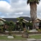 Ick Chu's garden in Ardeer - 2009