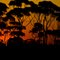 Silhouetted sunset