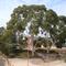 Ex CSIRO Park