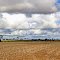 Clouds are clearing after several days of rain.   Jandowae.Qld