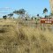Dingo Fence - Northern end