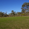 Picnic Area, Para Wirra Recreation Park