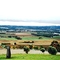 VALE DO BAROSSA - ADELAIDE