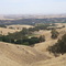 0164 Barossa Valley