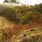 Barossa Goldfield Landscape