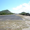 Lizard Air Strip