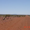 Mount Augustus - In The Distance