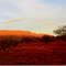 Mt. Augustus ** Western Australia