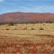 Mt. Augustus**The biggest Rock on Earth WA