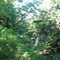 euclid creek