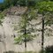 Euclid Creek Reservation