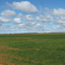Nortern Heights Mannum, wheat feild