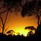 Warm Sunset