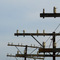 Old Telegraph Lines beside railway