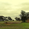 Ruins near Monarto, the location of Adelaide's 1970's planned satellite city