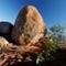 Boulder, near Marble Bar.