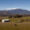 Mt Bogong View