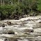 ''Storm Water'' Kiewa River branch