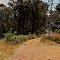 SEC track near Tawonga Gap. Bogong 1 side Buffalo the other, pano