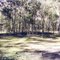 Paddy Ranges State Park: Karri Camp Ground