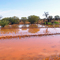 We had a big good rain in the arid outback. (March 2006)