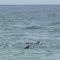 Mallacoota coast