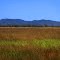 View from the Flinders Highway