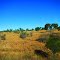 Countryside West of Townsville