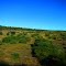 Countryside West of Townsville