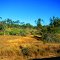 Countryside West of Townsville