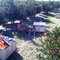 Fruit Picker Hell - Mundubbera - Trott & Sons - picking mandarin