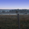 Munduberra Morning