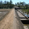 JONES WEIR