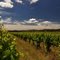Mudgee Winery